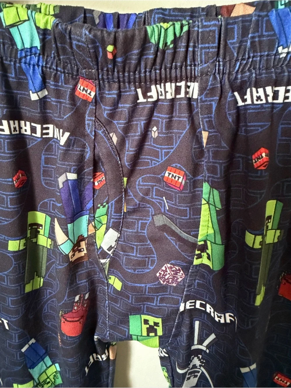 ClimateRight by Cuddl Duds Minecraft Boys Medium 2pc Long Sleeve Pajamas Blue